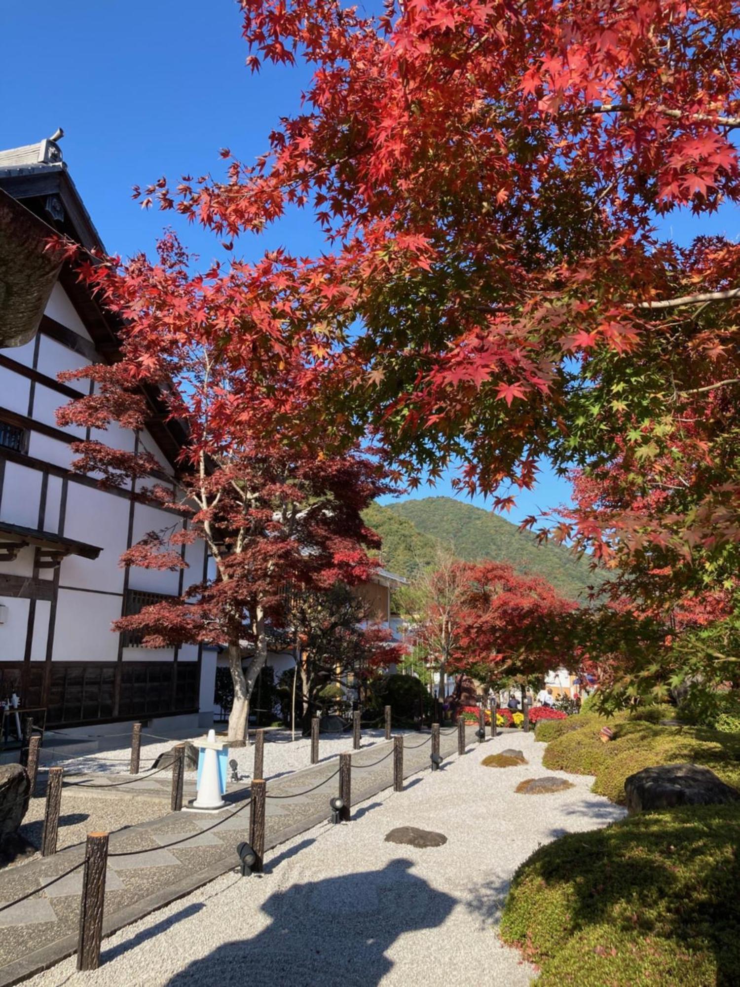 Sky Tree Inn Ⅱ（晴樹宿ⅱ） Tokyo Bagian luar foto