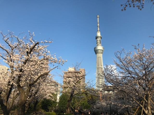 Sky Tree Inn Ⅱ（晴樹宿ⅱ） Tokyo Bagian luar foto