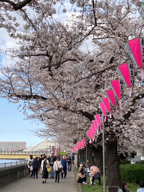 Sky Tree Inn Ⅱ（晴樹宿ⅱ） Tokyo Bagian luar foto